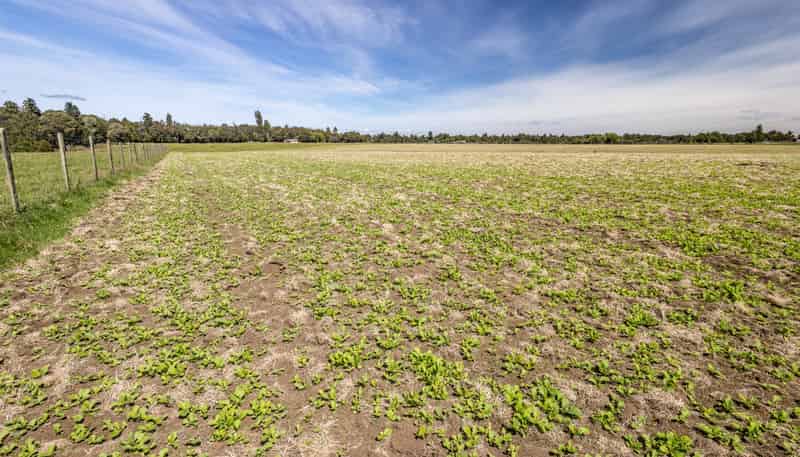 Lot 13 Matapuna Road, Horopito