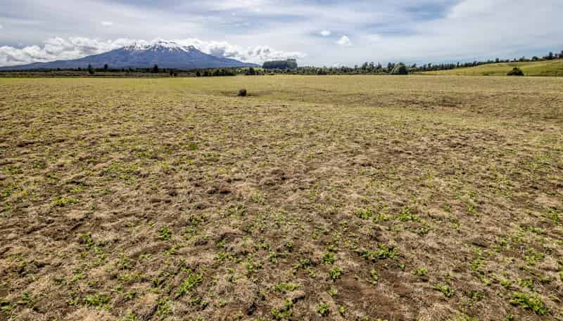 Lot 13 Matapuna Road, Horopito