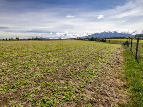 Lot 13 Matapuna Road, Horopito