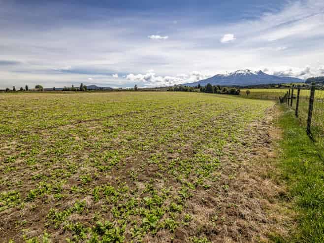 Lot 13 Matapuna Road, Horopito