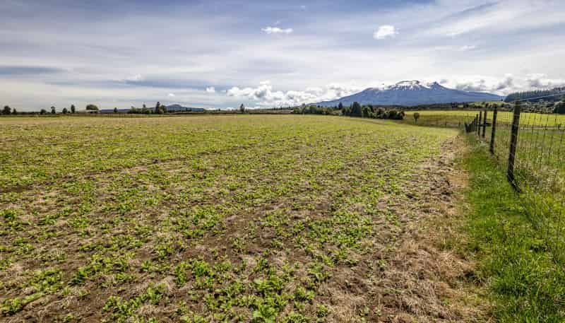 Lot 13 Matapuna Road, Horopito