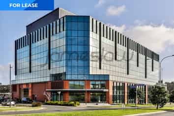 Premium 240m² Retail/Office – Albany