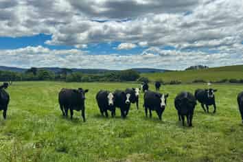 160 Blackwater Road, Ermedale