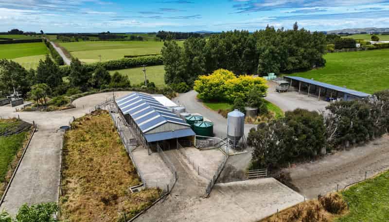 318 Waipango Ermedale Road, Gummies Bush