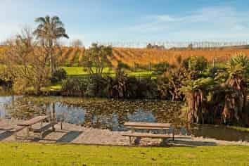 Auckland - Address withheld