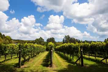 Auckland - Address withheld