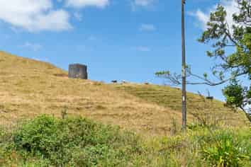 1510 Otaraoa Road, Tikorangi