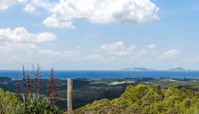 68 Kiwi Bush Lane, Ngunguru