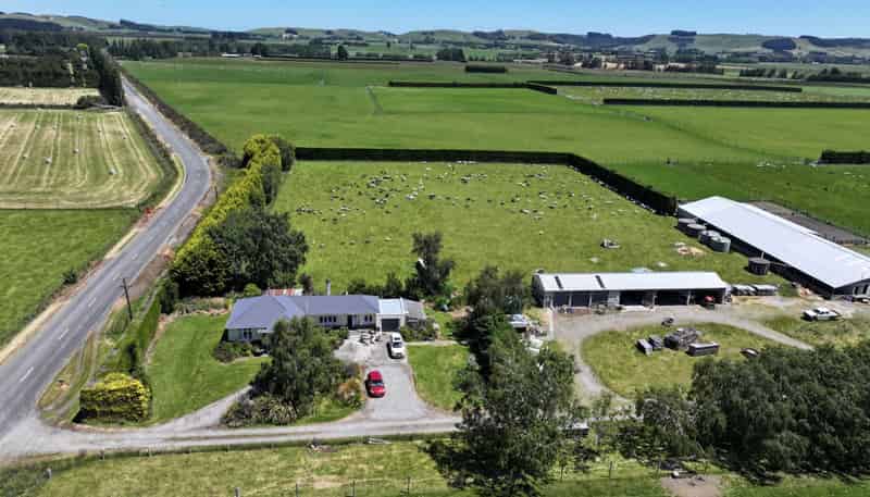 389 Mckenzie Road, Browns