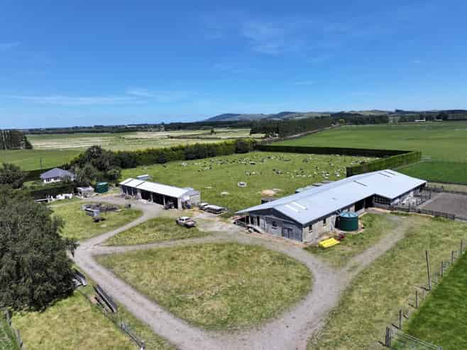 389 Mckenzie Road, Browns