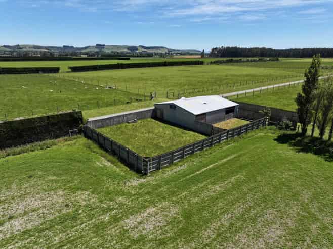 389 Mckenzie Road, Browns