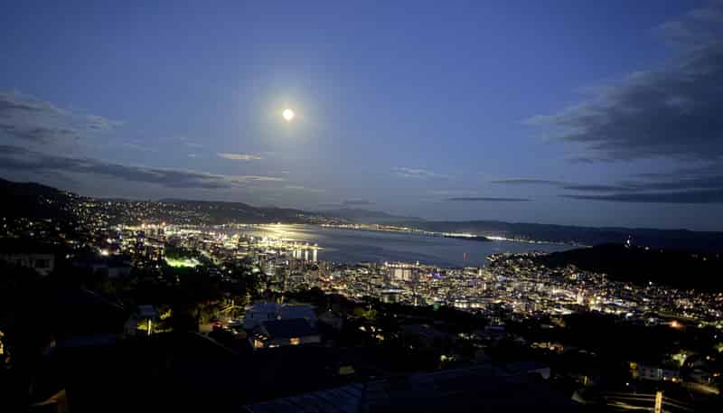 A/91 Karepa Street, Brooklyn