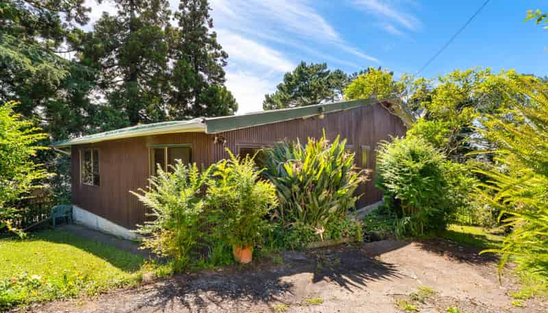 81 Don Buck Road, Massey