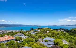 45 Maungaraki Road, Korokoro