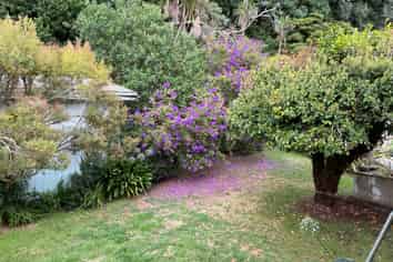 40B West End Road, Ohope