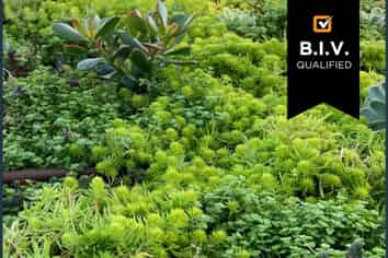 Protective membrane specialist - T/O $5M