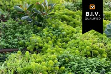 Protective membrane specialist - T/O $5M