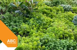 Protective membrane specialist - T/O $5M