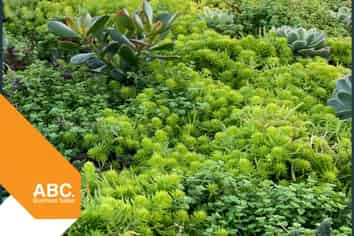 Protective membrane specialist - T/O $5M