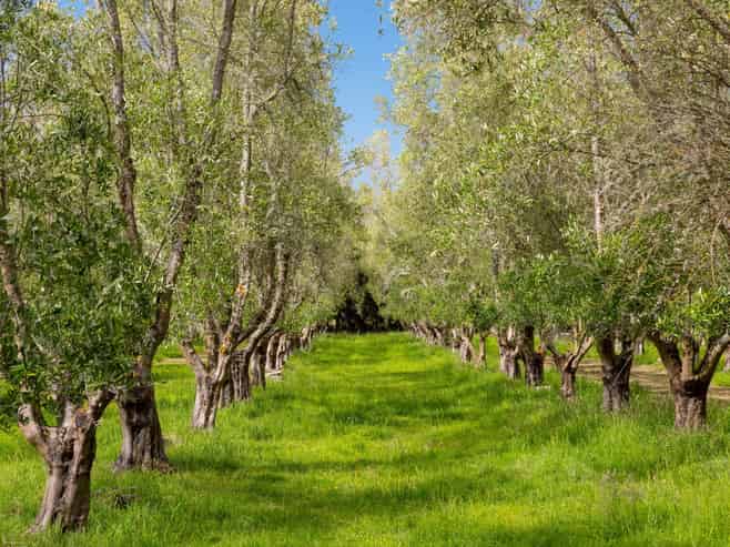 179 Bidwills Cutting Road, Greytown