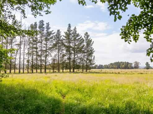 179 Bidwills Cutting Road, Greytown