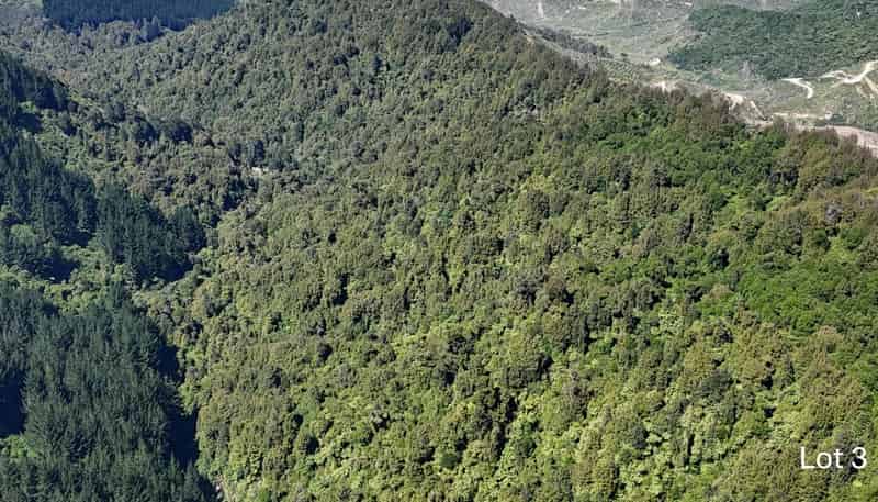 Lot 3 and 7, 1005 Rangitatau East Road, Kai Iwi