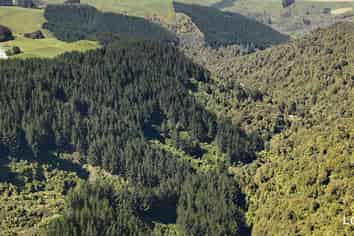 Lot 3 and 7, 1005 Rangitatau East Road, Kai Iwi