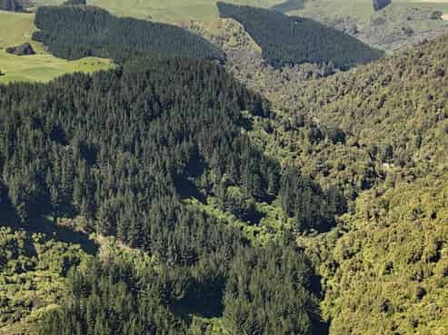 Lot 3 and 7, 1005 Rangitatau East Road, Kai Iwi