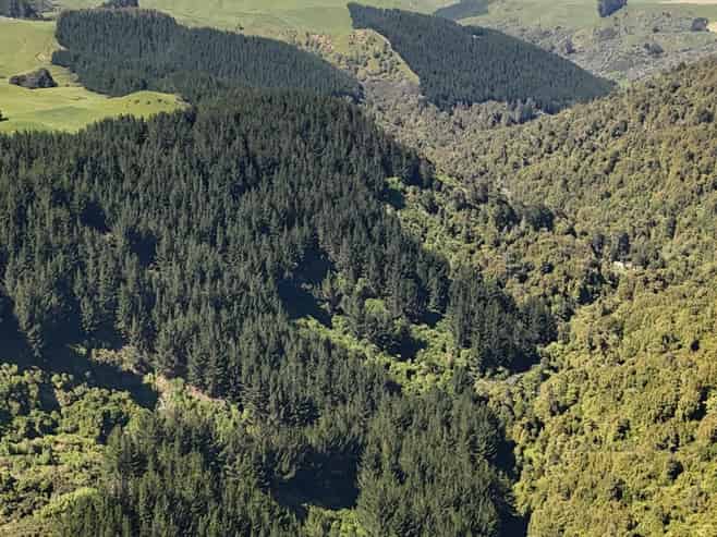 Lot 3 and 7, 1005 Rangitatau East Road, Kai Iwi