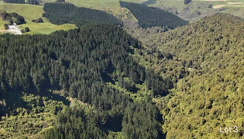 Lot 3 and 7, 1005 Rangitatau East Road, Kai Iwi
