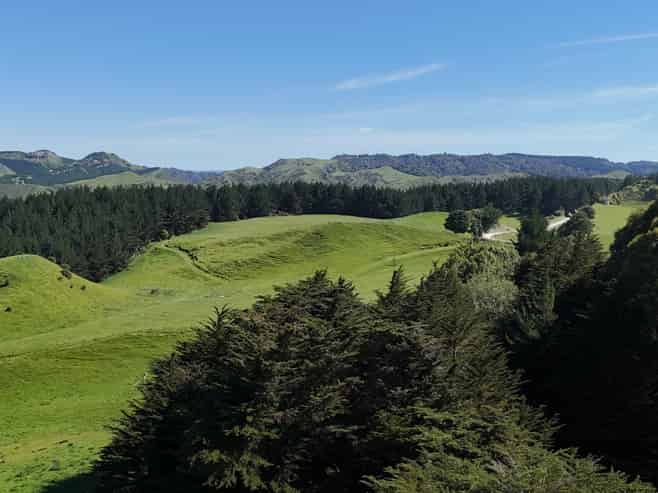 Lot 3 and 7, 1005 Rangitatau East Road, Kai Iwi