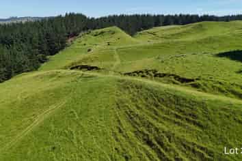 Lot 3 and 7, 1005 Rangitatau East Road, Kai Iwi