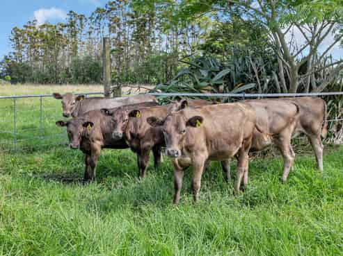 712 One Tree Point Road, Ruakaka