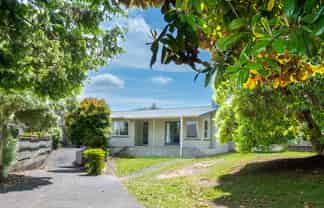186 Tamamutu Street, Taupo