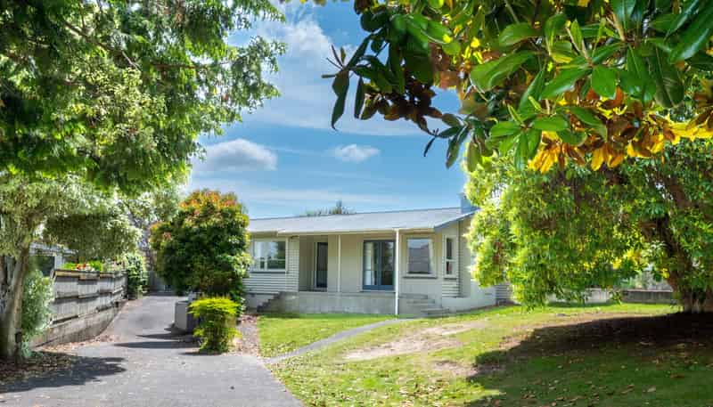 186 Tamamutu Street, Taupo