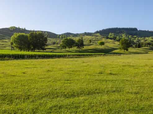 749 Kanakanaia Road, Te Karaka