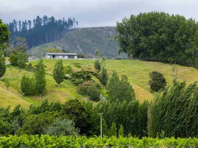 909A Wharekopae Road, Ngatapa