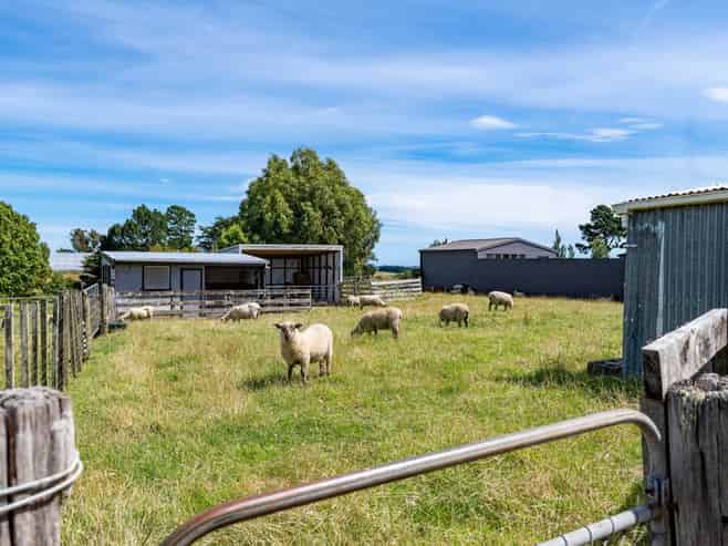 35 Weraroa Road, Waverley