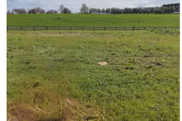 316 Korimako Drive, Te Awamutu