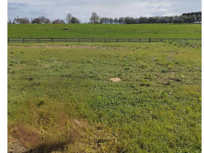 316 Korimako Drive, Te Awamutu