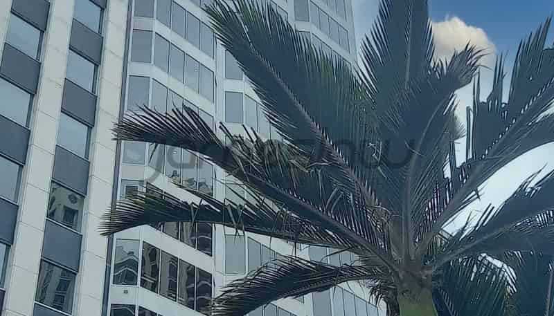 135m2, Lev/191  Queen Street, Auckland Central