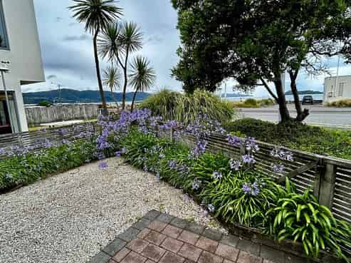 167 The Esplanade, Petone