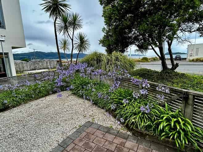 167 The Esplanade, Petone