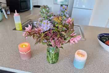 19 Sheen Street, Roslyn