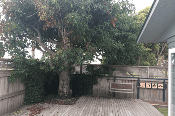 22 Grenada Street, Mount Maunganui