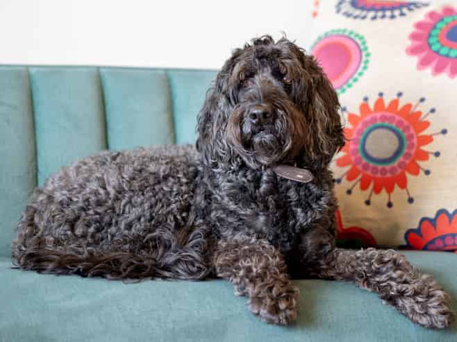 3C/39 Mackelvie Street, Grey Lynn