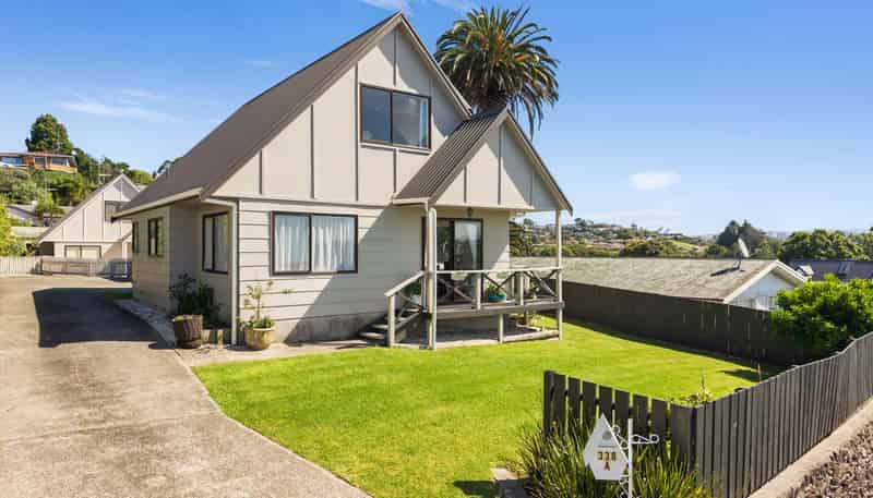 338A Waihi Road, Judea