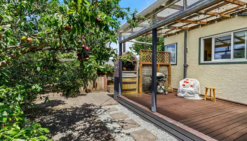 81 Adelaide Street, Petone