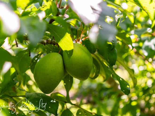 71 Gorge Road, Maungaturoto