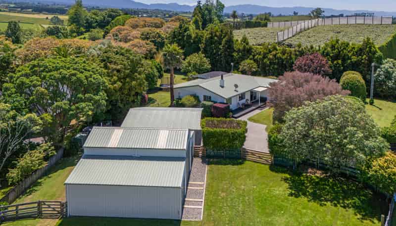 474 Youngson Road, Whakamarama